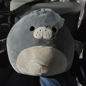 14 inch Matt the manatee squishmallow